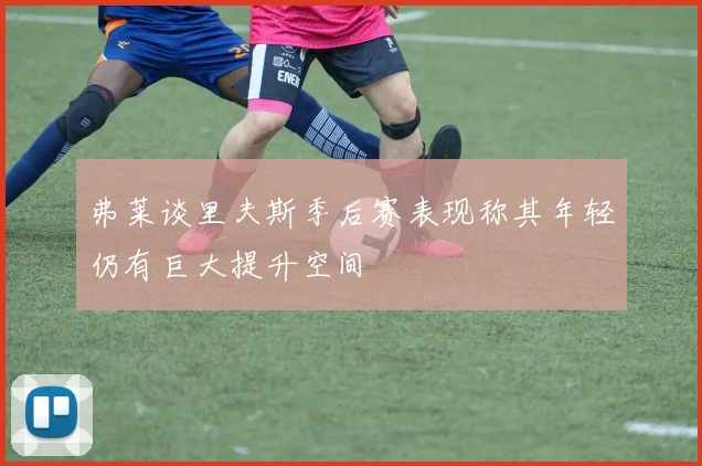 弗莱谈里夫斯季后赛表现称其年轻仍有巨大提升空间